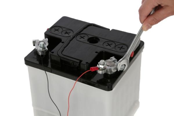 12V Adapter für Hühnerklappe zum Anschluss an Autobatterie oder Weidezaunbatterie